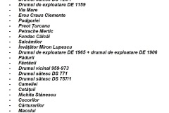 strazi-canalizare-miroslava-3