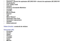 strazi-canalizare-miroslava-4