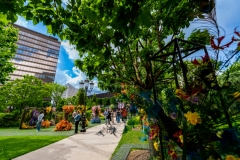 FLORALL-Iulius-Town-Timisoara