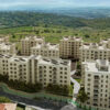 randare greenfield copou