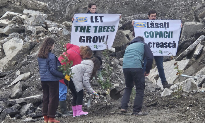 protest activisti de mediu iasi