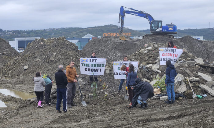 protest activisti de mediu iasi