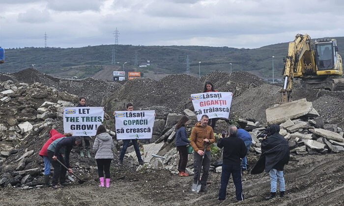 protest activisti de mediu iasi