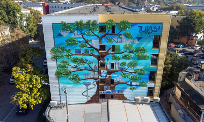 pictura murala iasi campus tudor vladimirescu