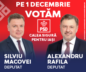 PSD - Banner electoral