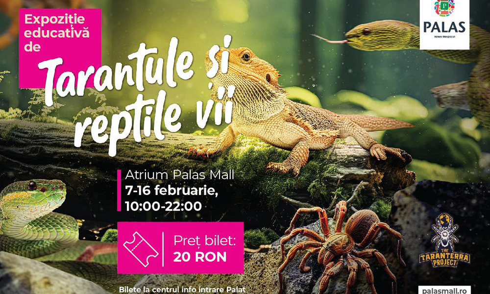 afis expozitie tarantule iasi