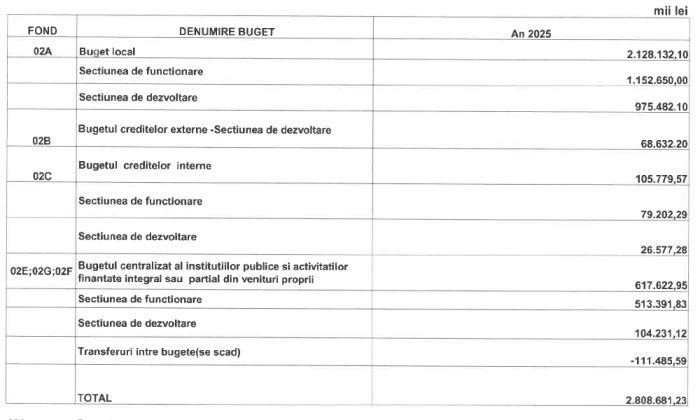 proiecte buget iasi 2025