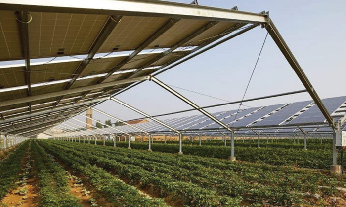 parc agrofotovoltaic in judetul iasi comuna tibanesti