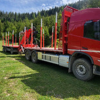 camion forestier