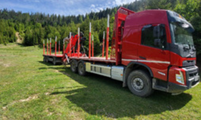 camion forestier