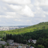 padurea cetatuia iasi