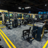 stay fit gym
