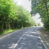 DN29A suceava
