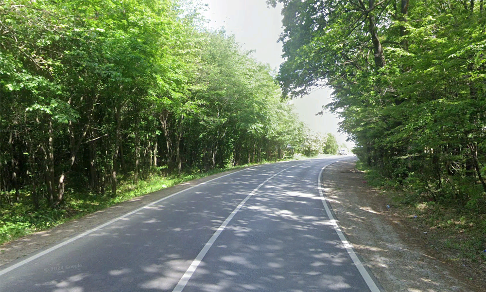 DN29A suceava