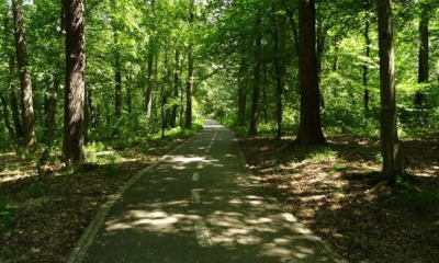 piste biciclete padure