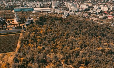 padure parc cetatuia