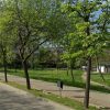 spatiu verde iasi