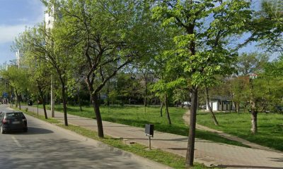 spatiu verde iasi