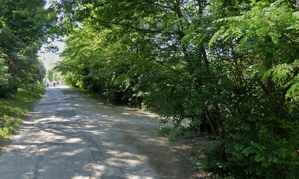 gradina botanica iasi