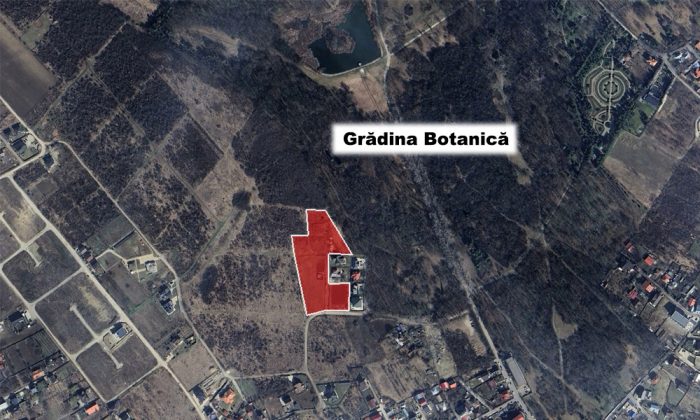 schita vile botanica