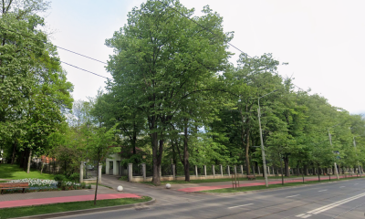 teren copou opera iasi