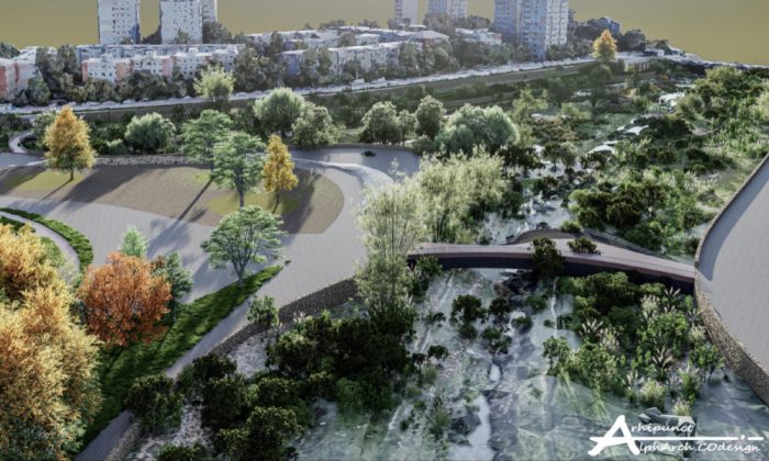 delta urbana bahlui-nicolina