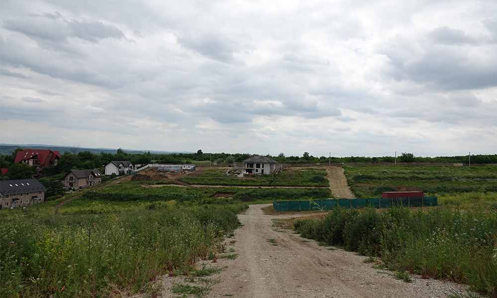 colina insorita pacurari