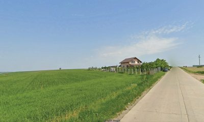 satul horlesti rediu