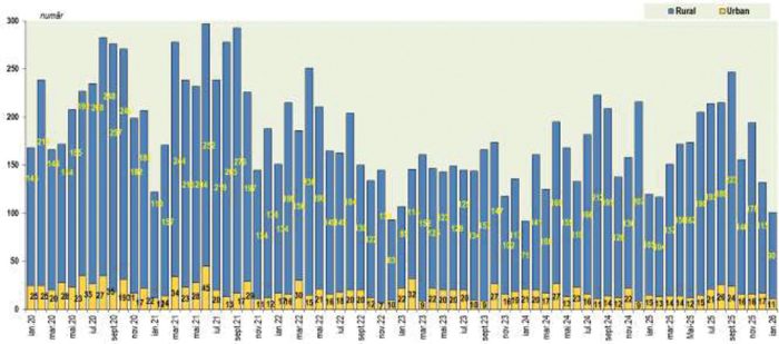 evolutie autorizatii rezidentiale judetul iasi