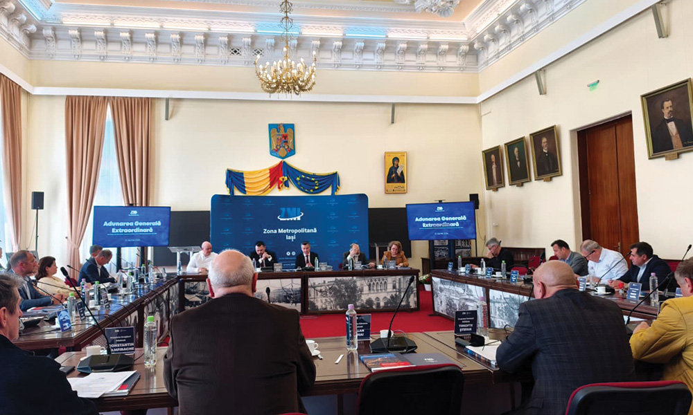sedinta zona metropolitana iasi