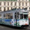 tramvai iepurila iasi