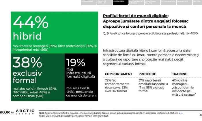 Profil-workforce-Arctic-Stream_-Cyber-Literacy-Audit