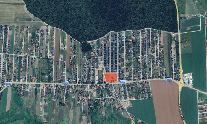 valea ursului schita