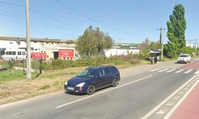 fosta hale avicole letcani iasi