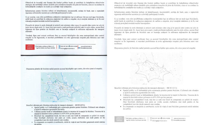 continut identic caiete de sarcini