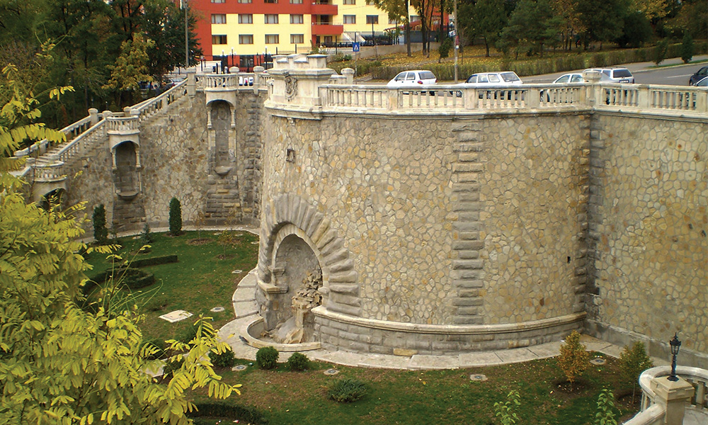 rapa galbena