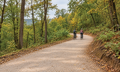 biciclisti prin padure - imagine creata cu Ai